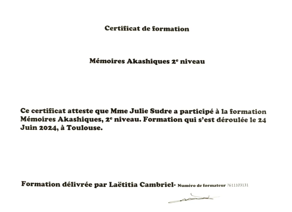 Ouverture et lecture des Mémoires Akashiques pour comprendre les schémas de vie, libérer les blocages et favoriser une reconnexion profonde à soi.