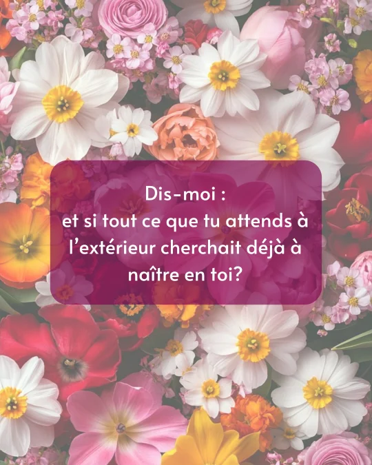 dis-moi