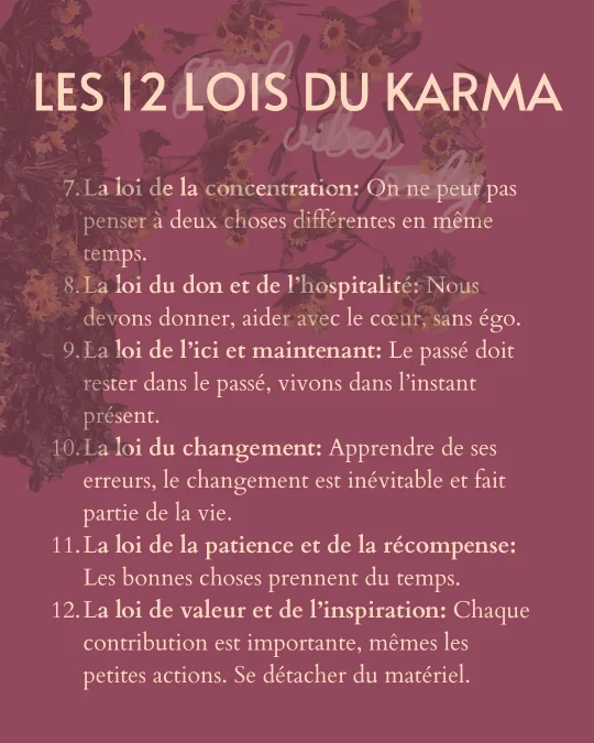 les-12-lois-du-karma-suite