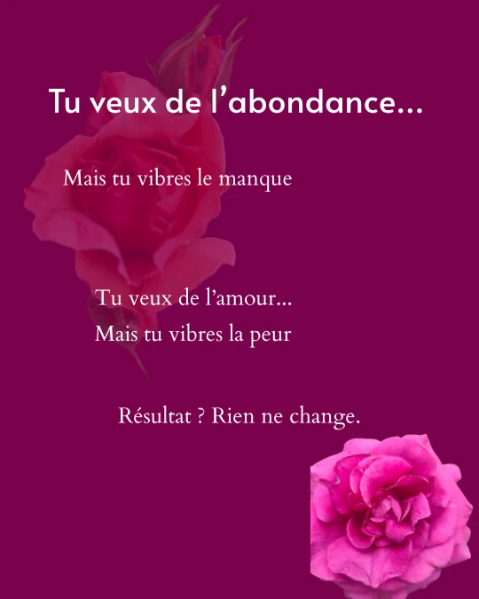 tu-veux-de-labondance